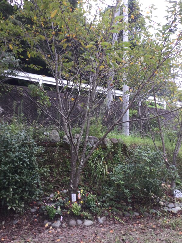 ペット霊園オアシス・合同墓地