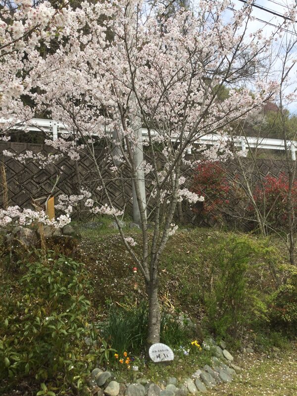 ペット霊園オアシス・合同墓地