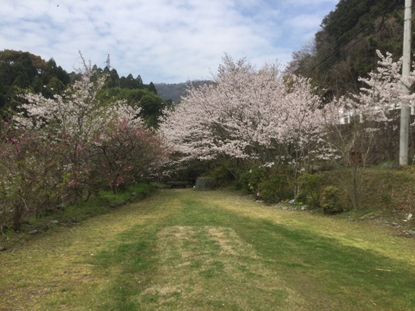 ペット霊園オアシス・合同墓地