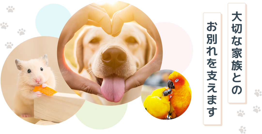 大切な家族とのお別れを支えます