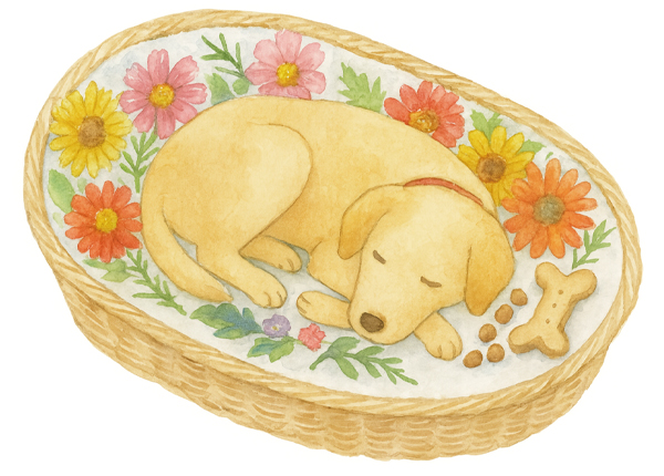 バスケット型棺